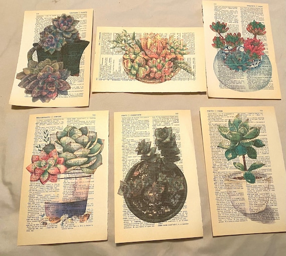 Succulent Plant Themed Dictionary Prints - Etsy Succulent Plant Themed Dictionary Prints - Etsy