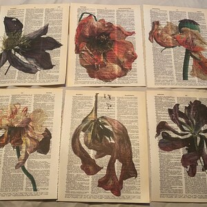 Flower Themed dictionary prints