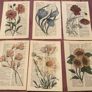 May include: Six vintage dictionary pages featuring floral illustrations. Each page showcases a different flower, including a poppy, a bluebell, a sunflower, and a white flower. The pages are printed on aged paper with a yellowed hue.