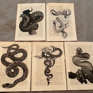 Snake themed dictionary prints