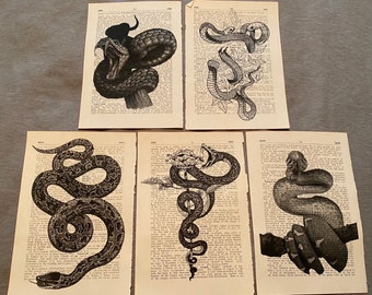 Snake themed dictionary prints