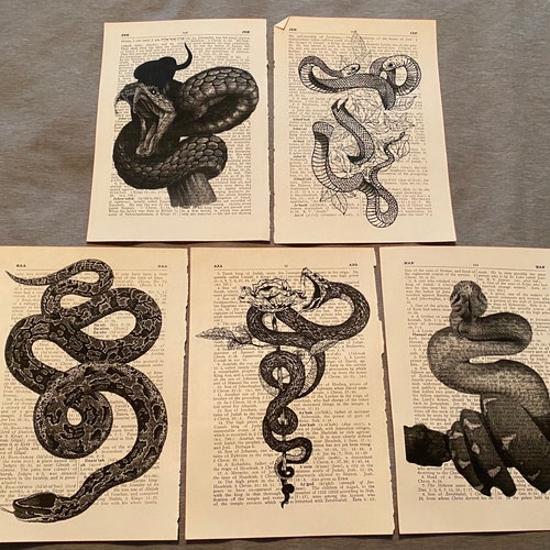Impressions de dictionnaires sur le thème des serpents