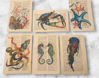 May include: Set of six vintage book page prints featuring colorful illustrations of sea creatures, including a crab, starfish, octopus, jellyfish, and two seahorses.