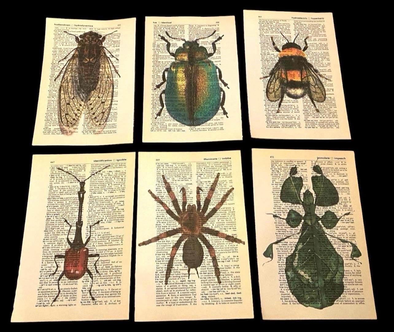 Bug/insect Themed Dictionary Prints - Etsy