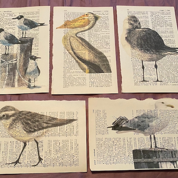 Sea bird themed dictionary prints