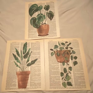 Plant Themed dictionary prints