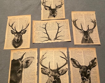 Deer themed dictionary prints
