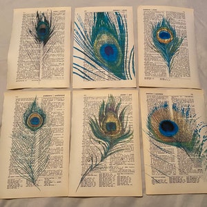 Peacock Feather themed dictionary prints