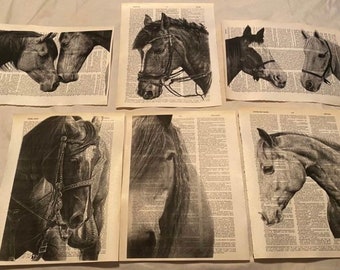 Horse themed dictionary prints