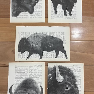 Bison/Buffalo themed dictionary prints