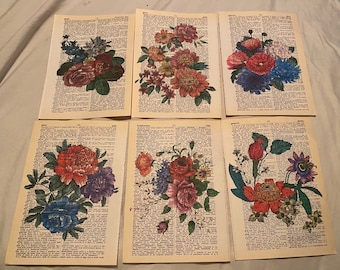 Flower Themed dictionary prints