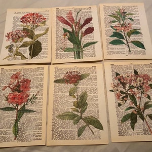 Flower Themed dictionary prints