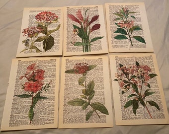 Flower Themed dictionary prints