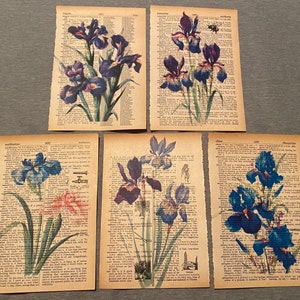 Iris Flower themed dictionary prints