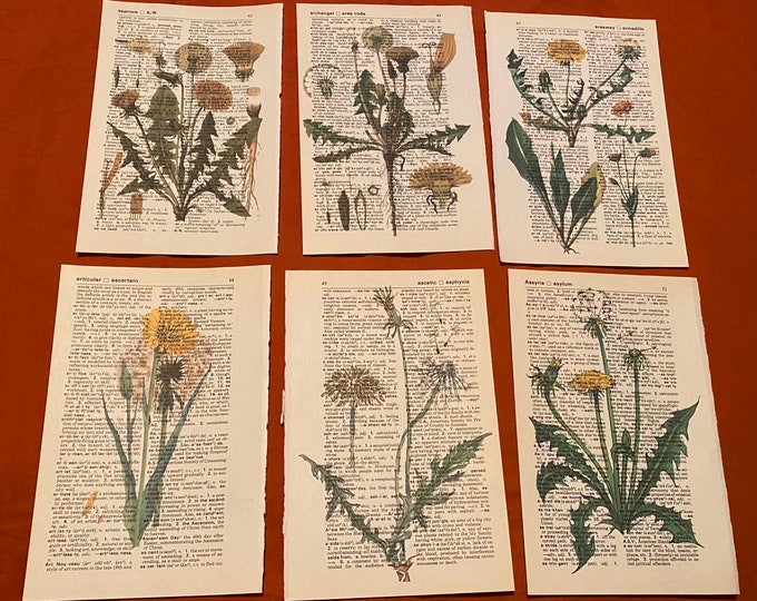 Botanical Dandelion Floral themed dictionary prints