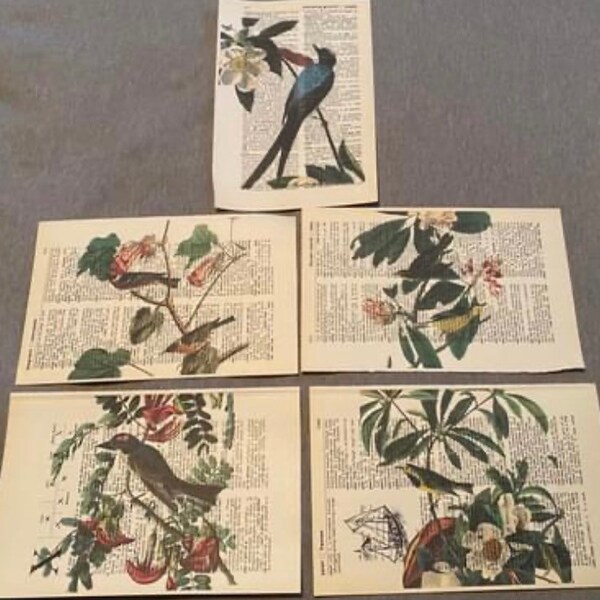 Bird Dictionary Art Etsy