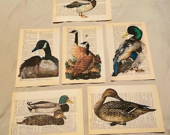 Duck/Mallard themed dictionary prints