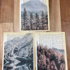 Diccionarios con motivos de paisajes de montaña