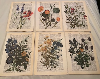 Flower Themed dictionary prints