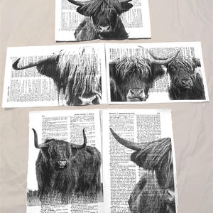 Highland Cow themed dictionary prints