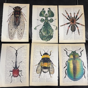 Bug/Insect themed dictionary prints