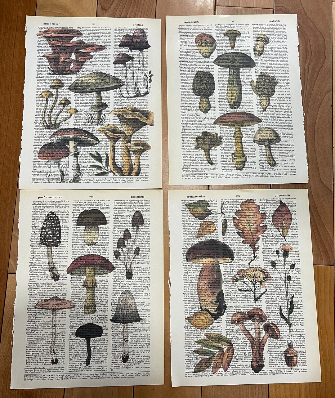 Mushroom Themed Dictionary Prints Etsy