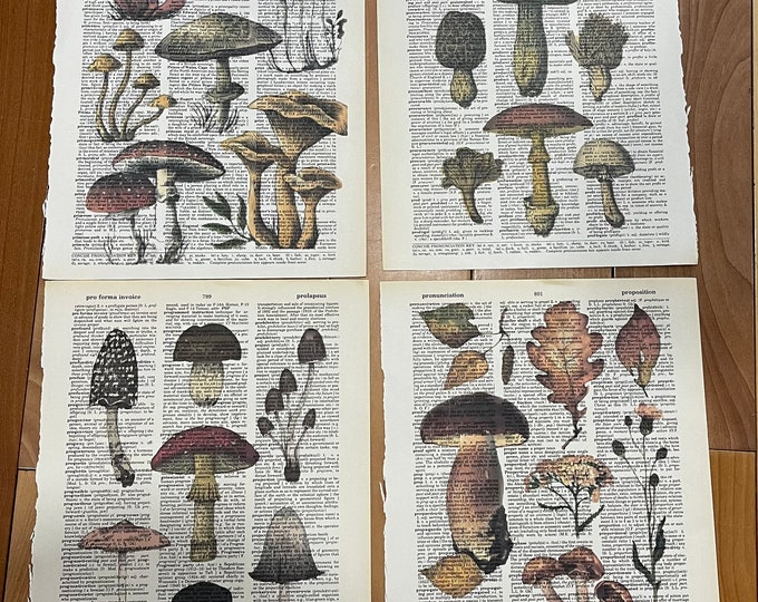 Mushroom Themed Dictionary Prints