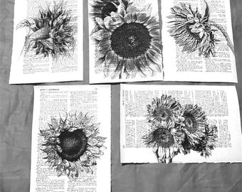 Sunflower themed dictionary prints