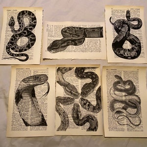 Snake themed dictionary prints