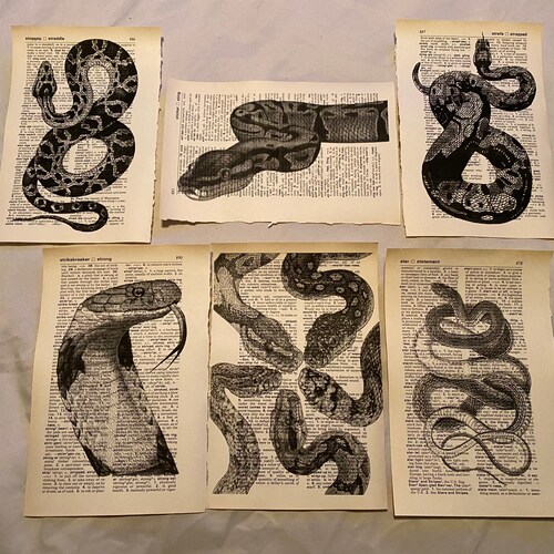 Impressions de dictionnaires sur le thème des serpents