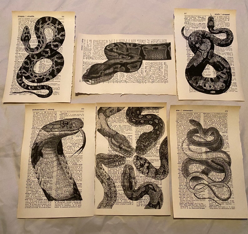 Snake themed dictionary prints image 1