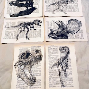 May include: Six black and white dinosaur illustrations printed on vintage dictionary pages. The illustrations include a dinosaur skull, a dinosaur skeleton, and a triceratops skull.