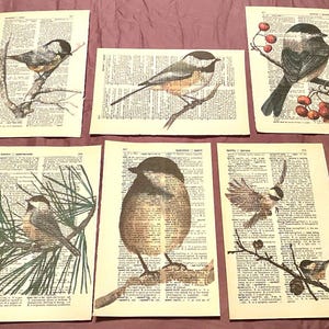 Bird (Chickadee) themed dictionary prints