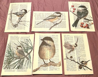 Bird (Chickadee) themed dictionary prints