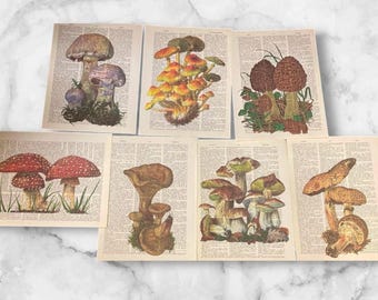 Mushroom Themed Dictionary Prints