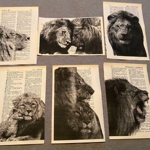 Lion themed dictionary prints