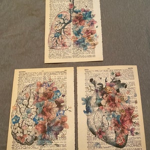 Anatomy themed dictionary prints