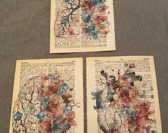 Anatomy themed dictionary prints