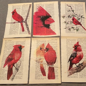 Cardinal Bird themed dictionary prints