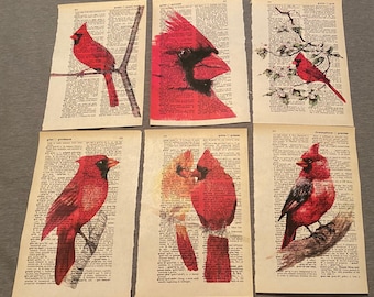 Cardinal Bird themed dictionary prints
