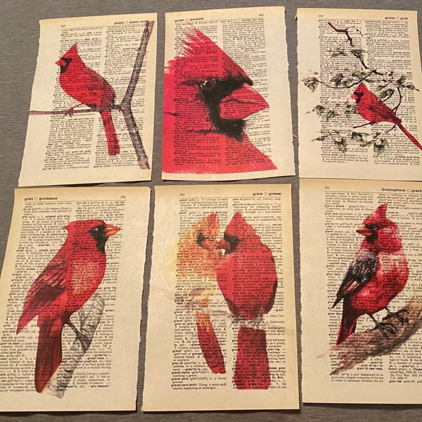 Impressions de dictionnaires sur le thème Cardinal Bird