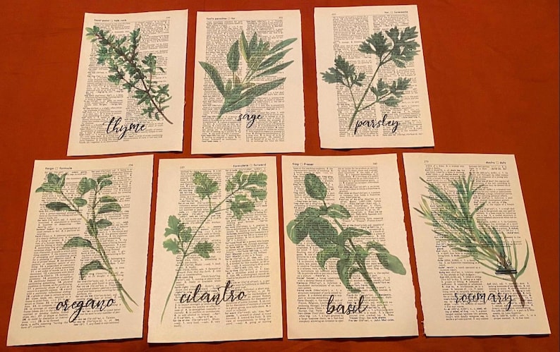 May include: Set of 8 printable art prints featuring different herbs with their names written below each image. The herbs include oregano, coriander, basil, rosemary, thyme, sage, parsley, and oregano.