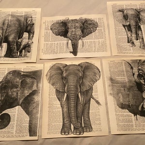 Elephant Themed dictionary prints