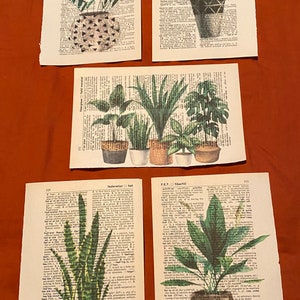 Plant Themed dictionary prints