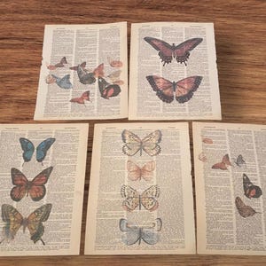 Butterfly themed dictionary prints