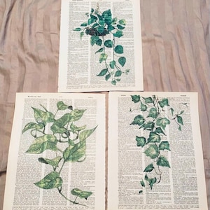 Plant Themed dictionary prints
