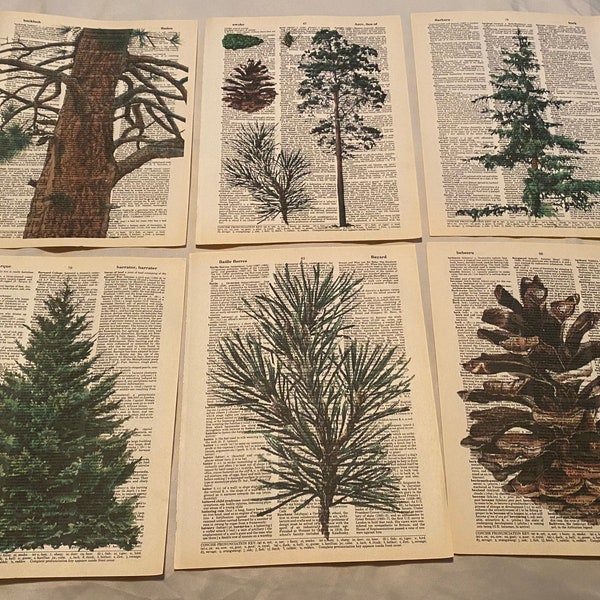 Pine Cone and Tree Themed Dictionary Prints