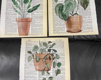 May include: Three watercolor paintings of potted plants on vintage dictionary pages. The plants are a green leafy plant, a plant with large green leaves, and a trailing plant with small green leaves.