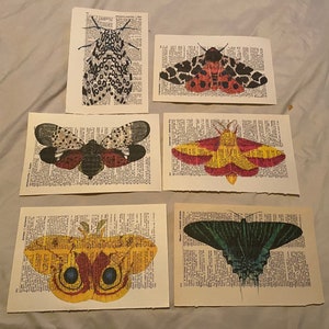 Moth themed dictionary prints