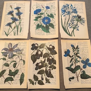 Puede incluir: Conjunto de 10 estampas botánicas vintage con diferentes flores y plantas. Las estampas son en blanco y negro con ilustraciones florales azules. Las estampas están en papel con una superficie texturizada. Las estampas son todas de diferentes tamaños y formas. Las estampas están todas en buen estado.